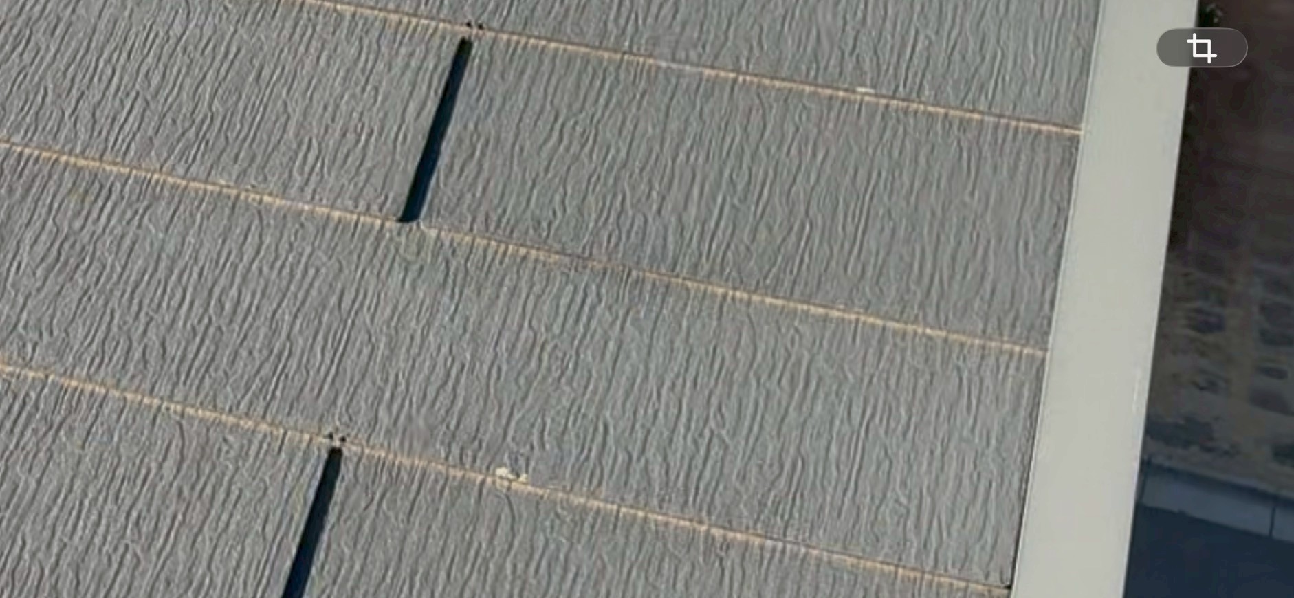 雹で角がかけたカラーベスト